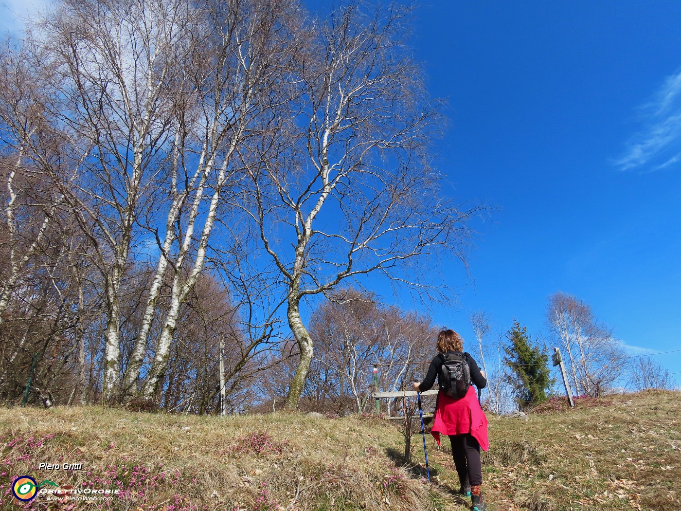 35 Saliamo a congiungerci col sentirol che sale dalla Pernice e Il Pizzo.JPG